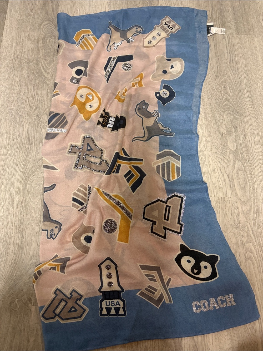 Coach Sparkly Scarf
